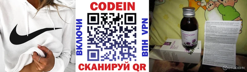 Купить закладки  Каменск-Шахтинский  Codein Purple Drank 