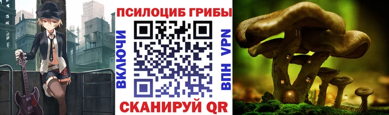 Псилоцибиновые грибы Psilocybine cubensis  Купить закладки  Каменск-Шахтинский 